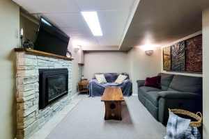 Cozy basement living room with fireplace and sofas.