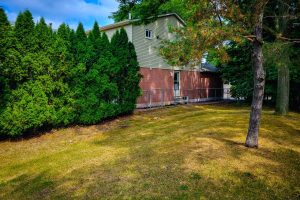 Backyard with house, trees, and fence