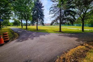Pathway through park with trees and open field.