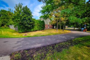 Paved pathway through lush green trees