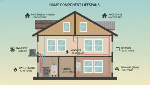Infographic cutaway of a house showing lifespans of roof, HVAC, water heater, windows and plumbing